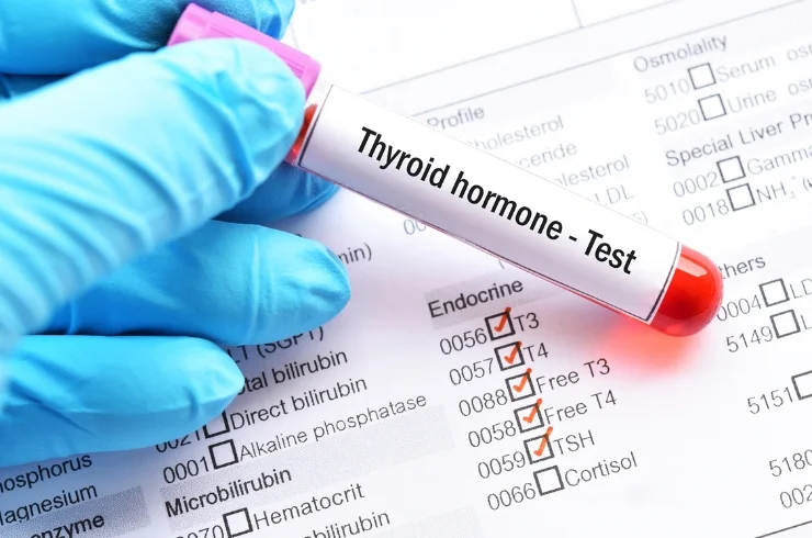 Thyroid Hormones..1